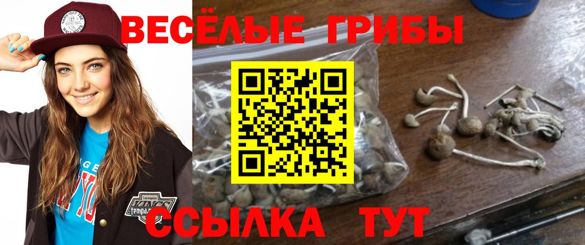 Псилоцибиновые грибы Cubensis Нарьян-Мар