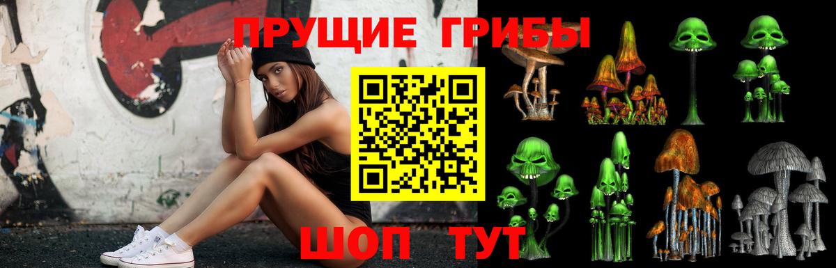 Галлюциногенные грибы прущие грибы  Вход с VPN  Нарьян-Мар 